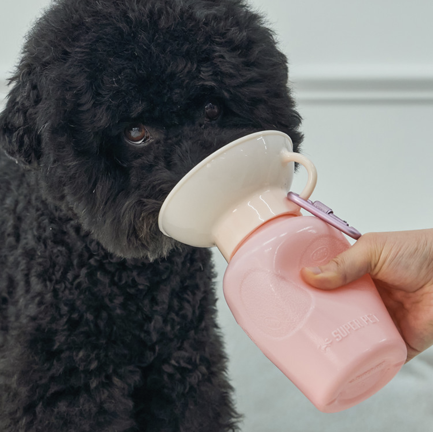 *Super Pet🇰🇷手提寵物充氣水樽