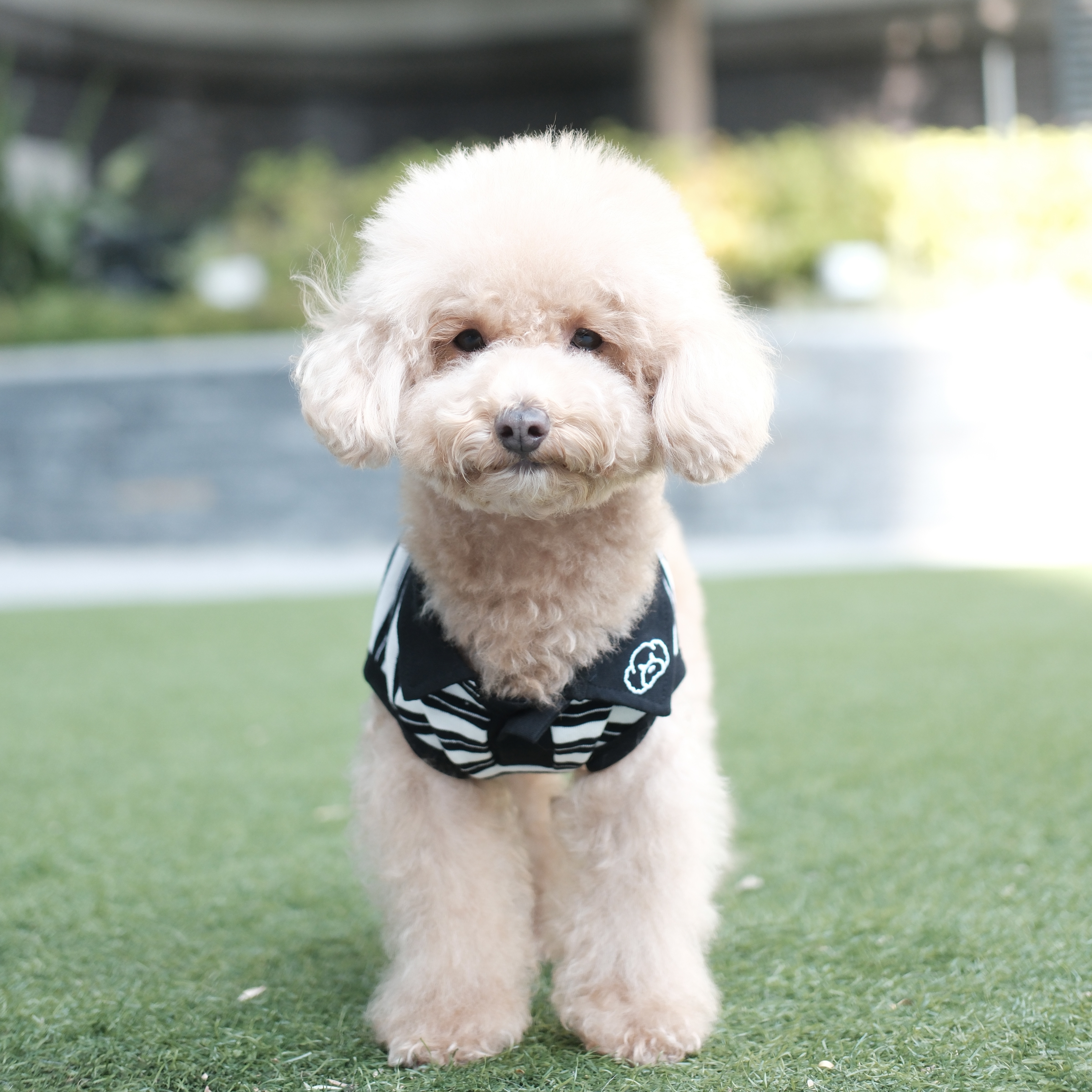 S650   黑白條紋T恤 Black and white striped T-shirt