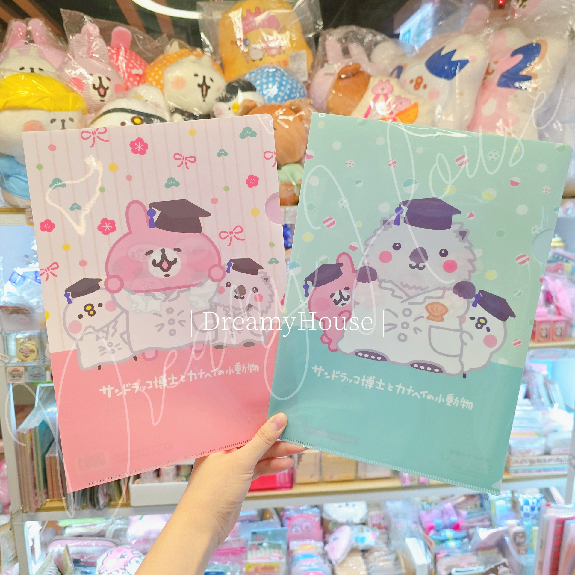 日本 kanahei × サンドラッコ博士 A4 File