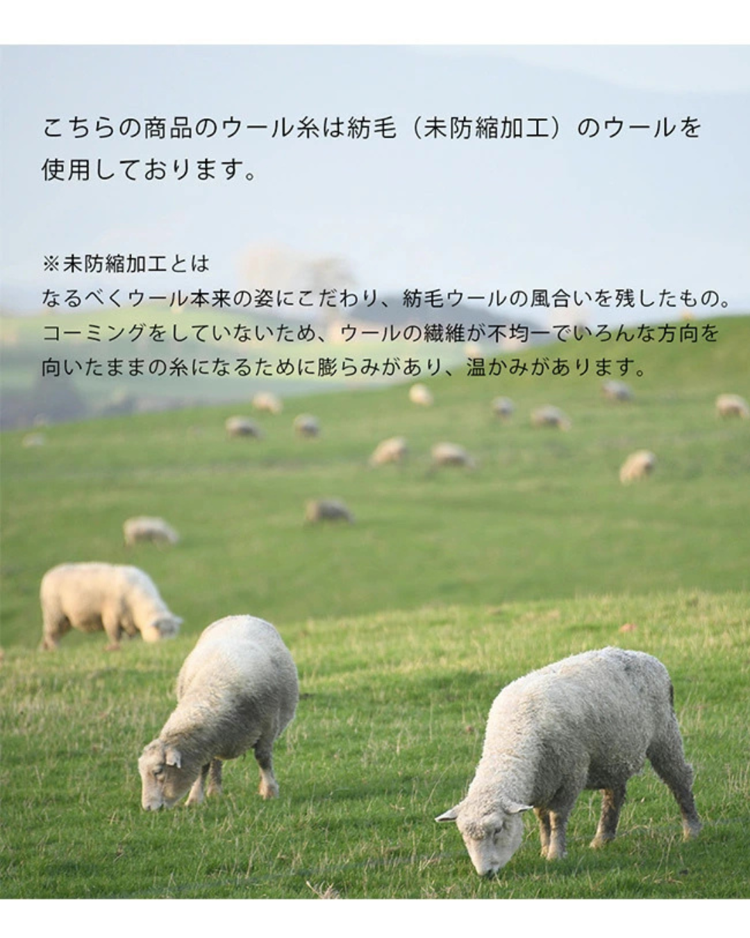 日本代購【 2026新色 日本直送 日本製 MAISON BLANCE 100%美麗諾羊毛 迷你頸巾 Made in Japan Merino Wool Ribbed Mini Muffler 】