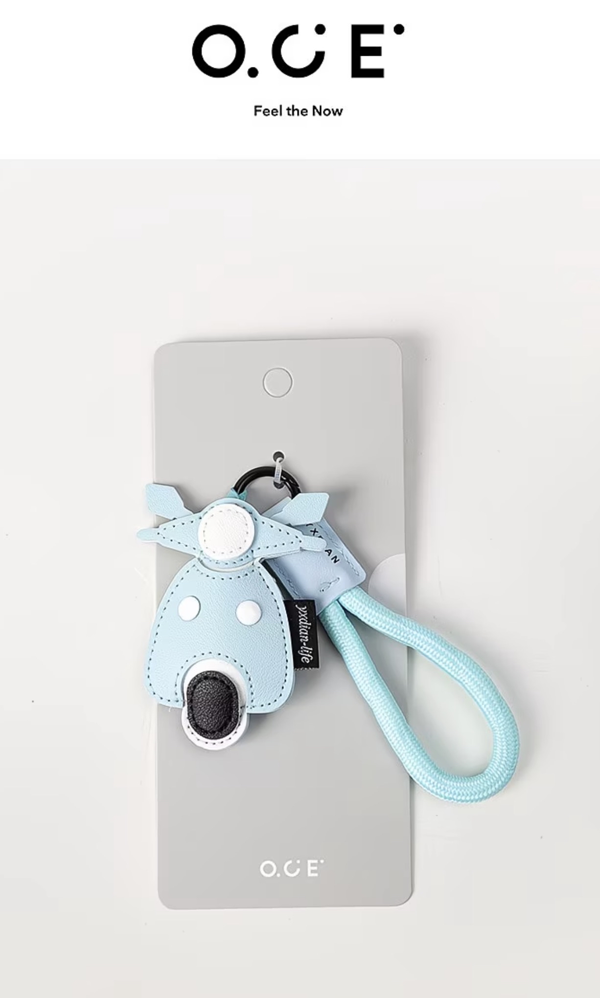 Stylish Hanging Bag Accessories 