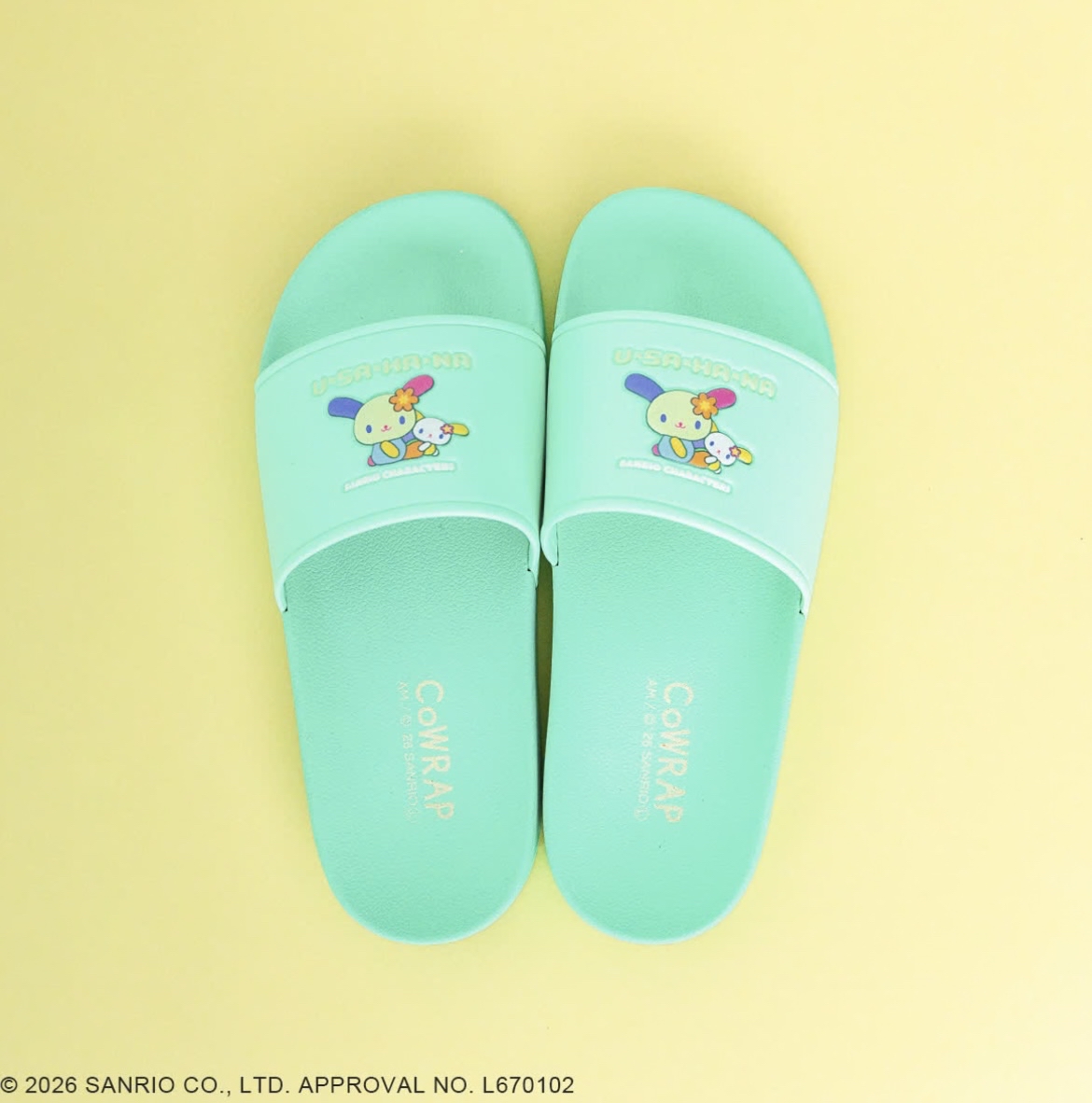 日本預訂📍日本Sanrio可愛圖案夏日拖鞋 1/4日本開售