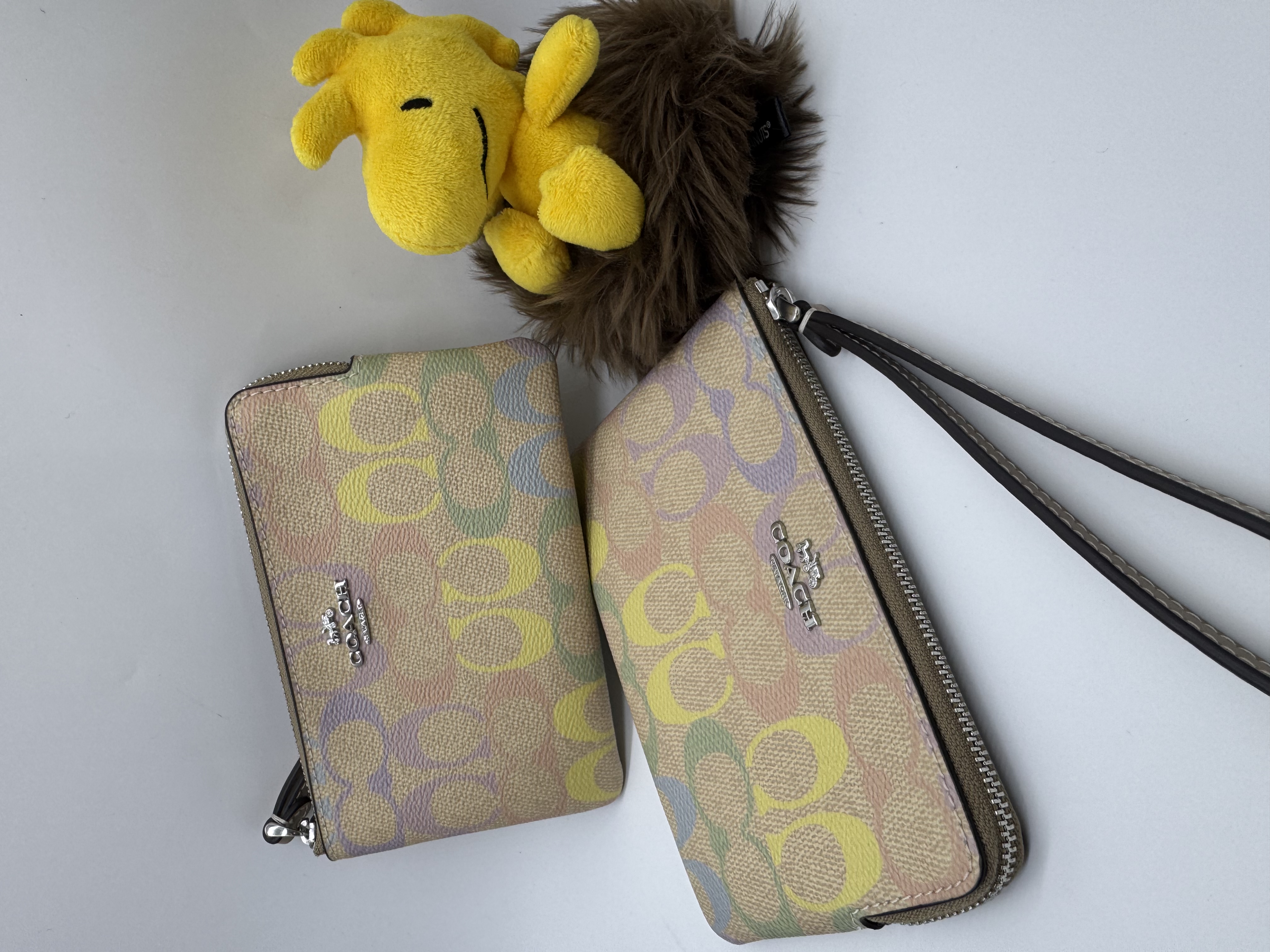 ✈️🇨🇦🇺🇸淡淡嘅彩色Signature C  pattern Coach Outlet 系列：拉鍊袋現貨🌈