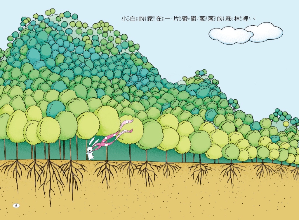 京采 兔子小白益智遊戲繪本 (一套5本)