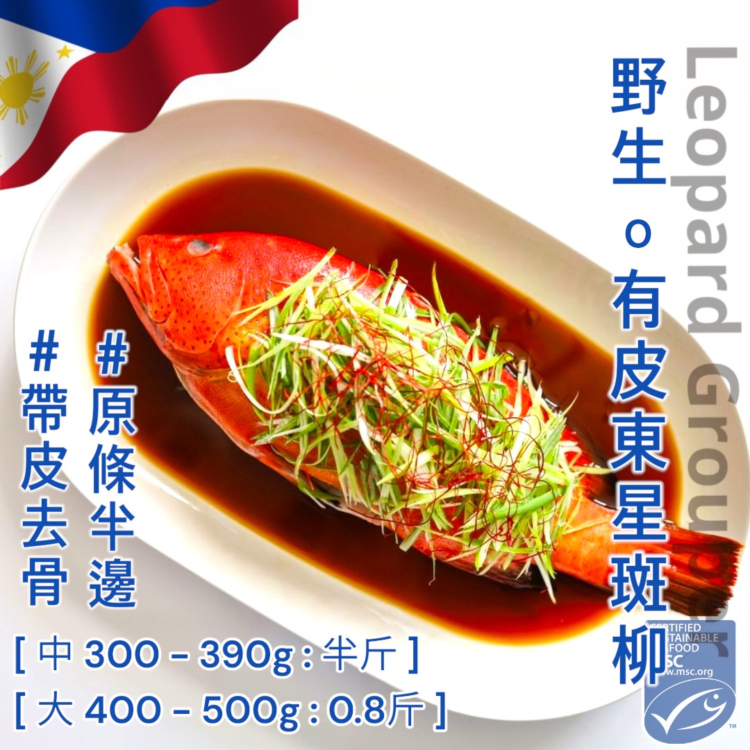 ⭐菲律賓 - 野生 - 東星斑原條半邊。有皮去骨 [ 300g / 半斤 ]  ⭐貨源極少 - 售完即止⭐