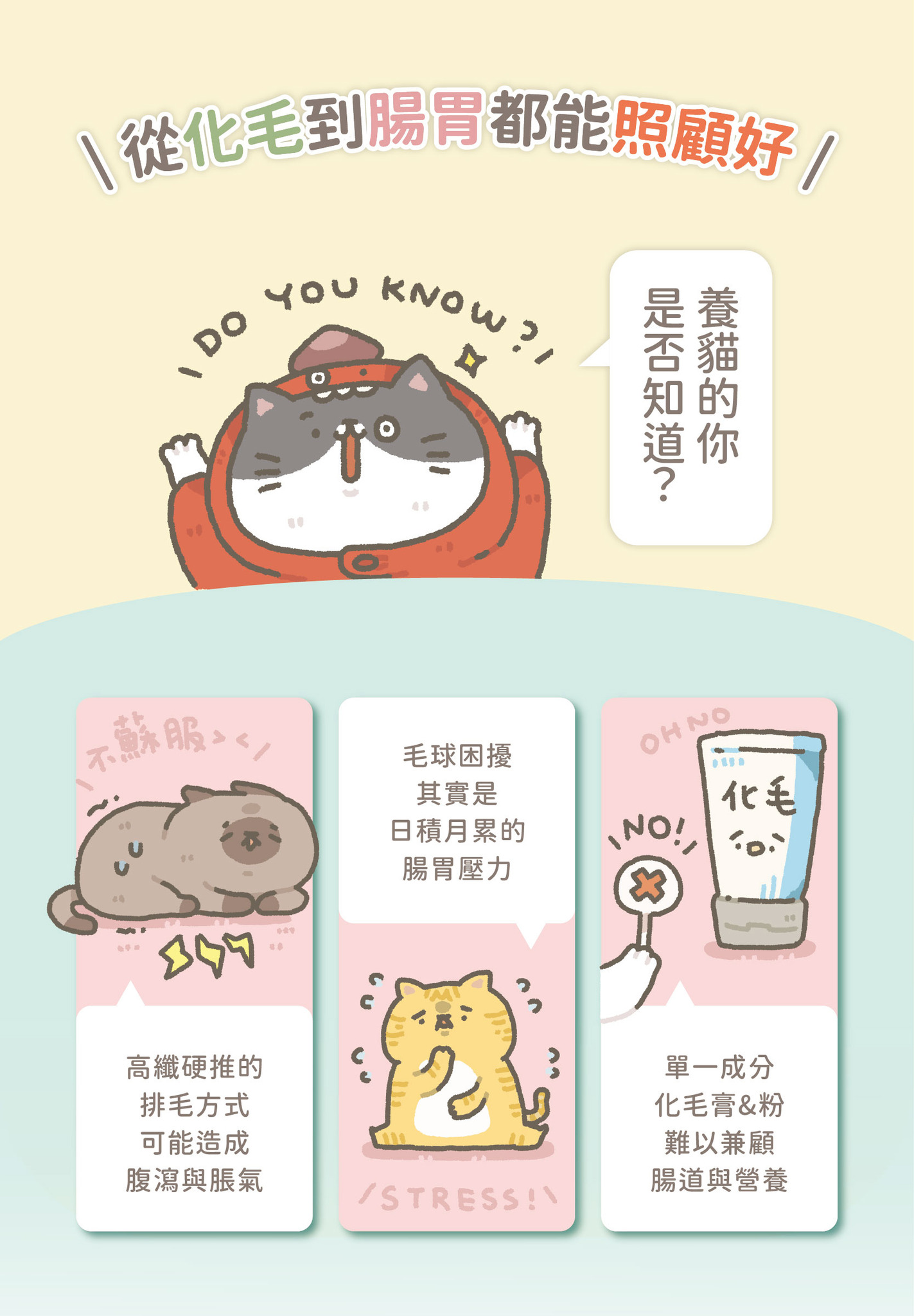貓有話說｜溫和排毛｜捏一口｜主食鮮肉泥