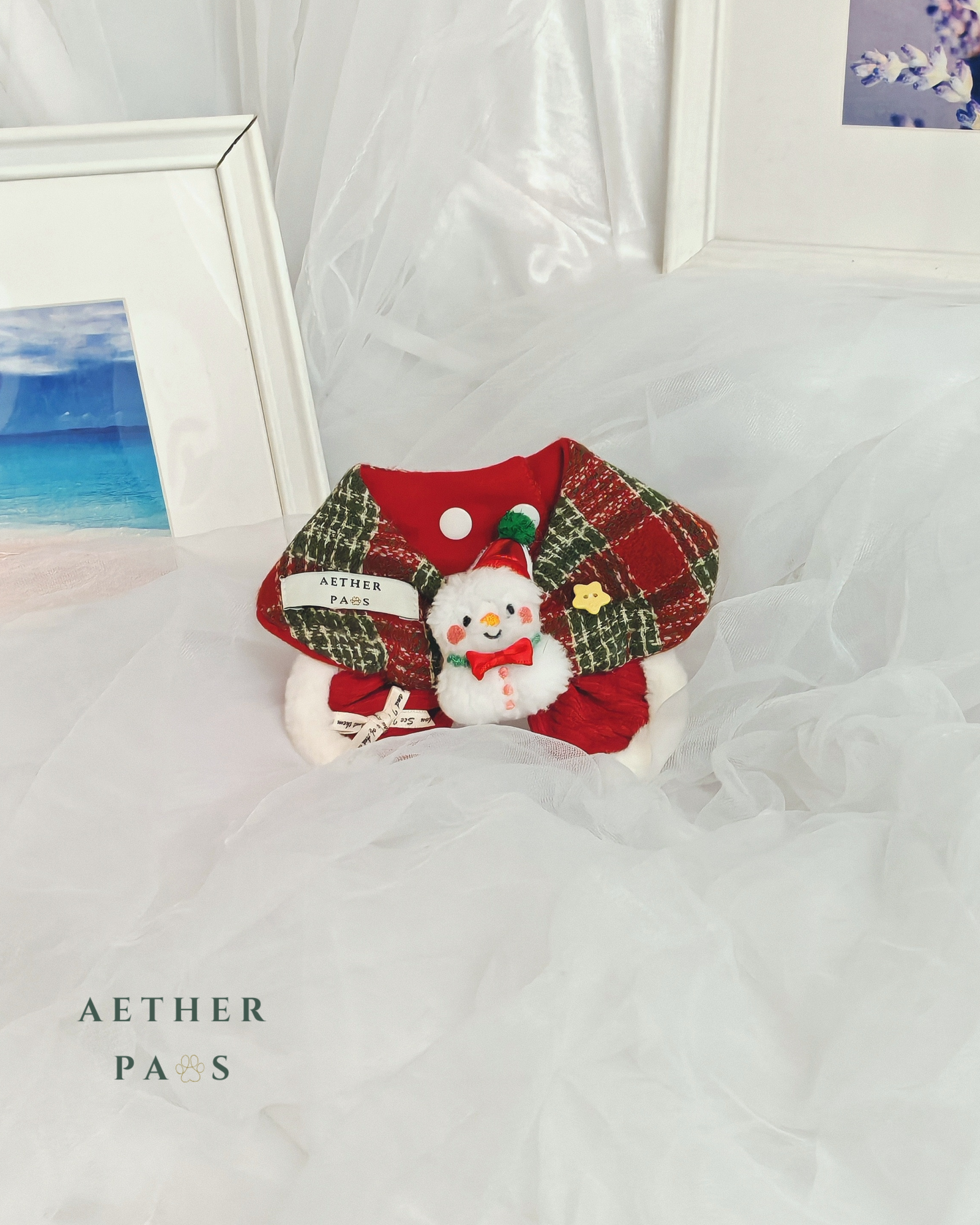 Winterland Snowman Bib