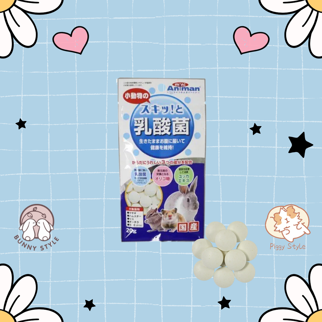 Animan 乳酸菌 - 20g