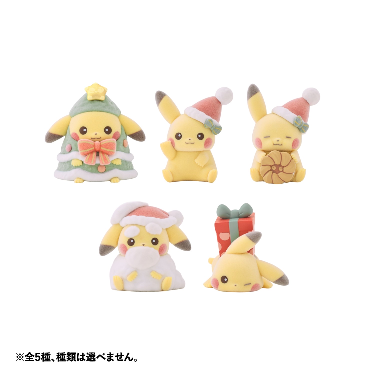 🎀【預訂】 Pokémon Christmas 🎄 Collection  盲盒公仔