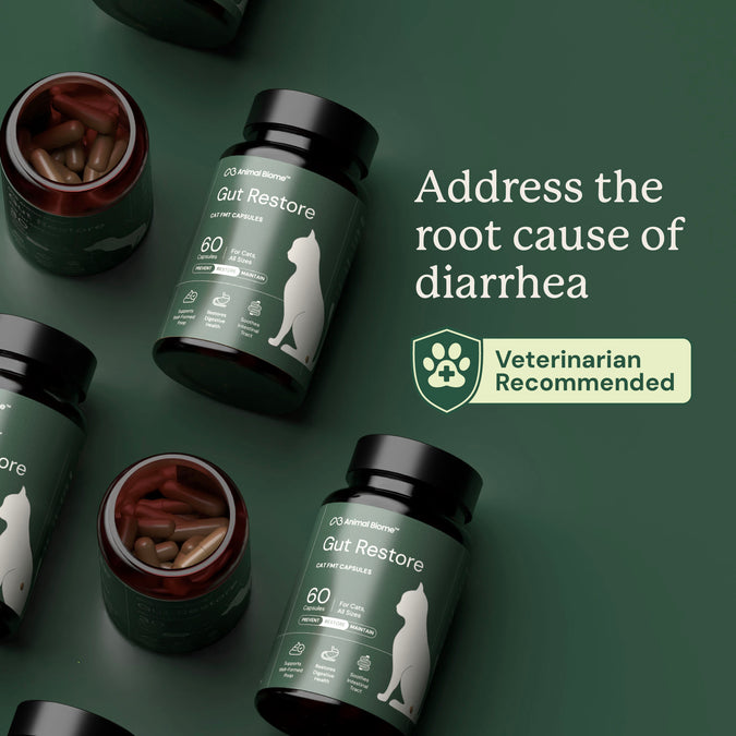 AnimalBiome : Gut Restore for Cats [最新存貨情況請參閱下列商品介紹]