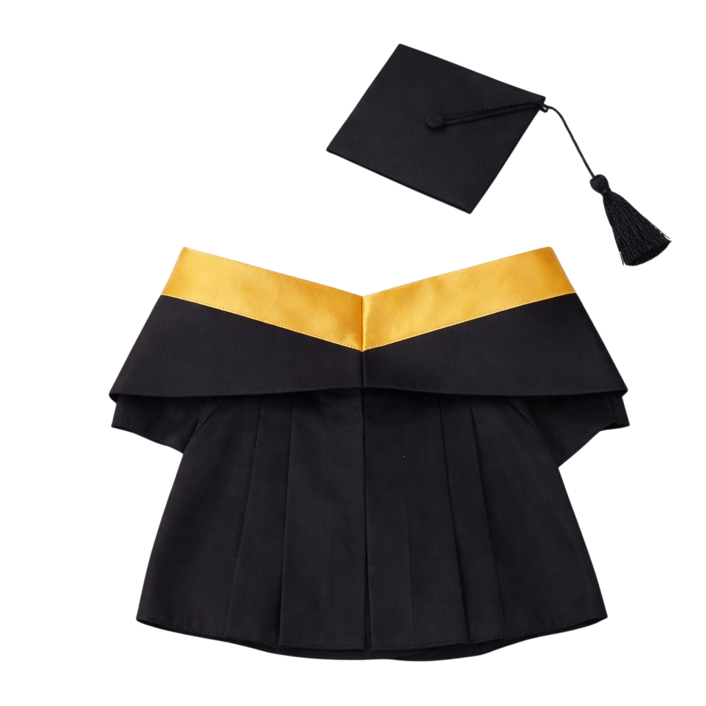 【Frozen Anna 畢業公仔】冰雪奇緣 Anna 畢業公仔｜可加名字刺繡｜幼稚園畢業禮物｜vbuy grad1860