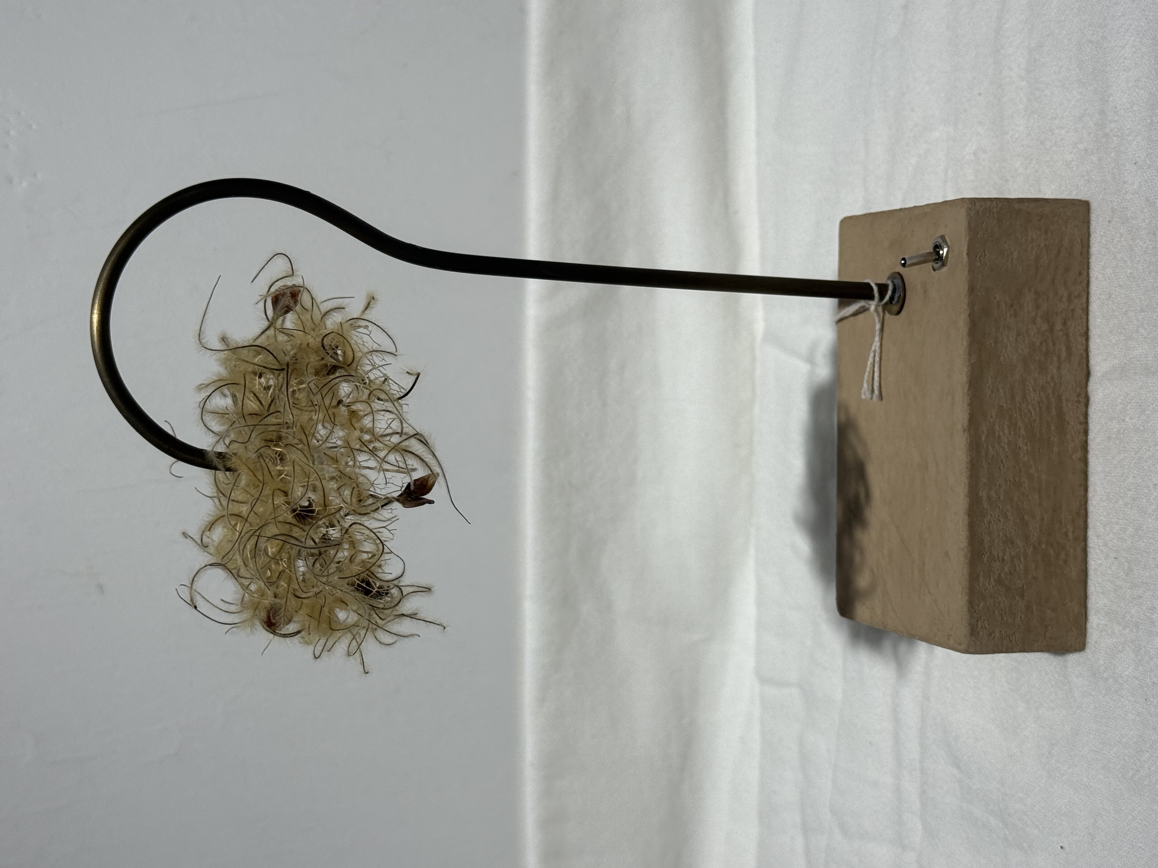 はいいろオオカミ + 花屋 西別府商店 永生花 台燈 氛圍燈