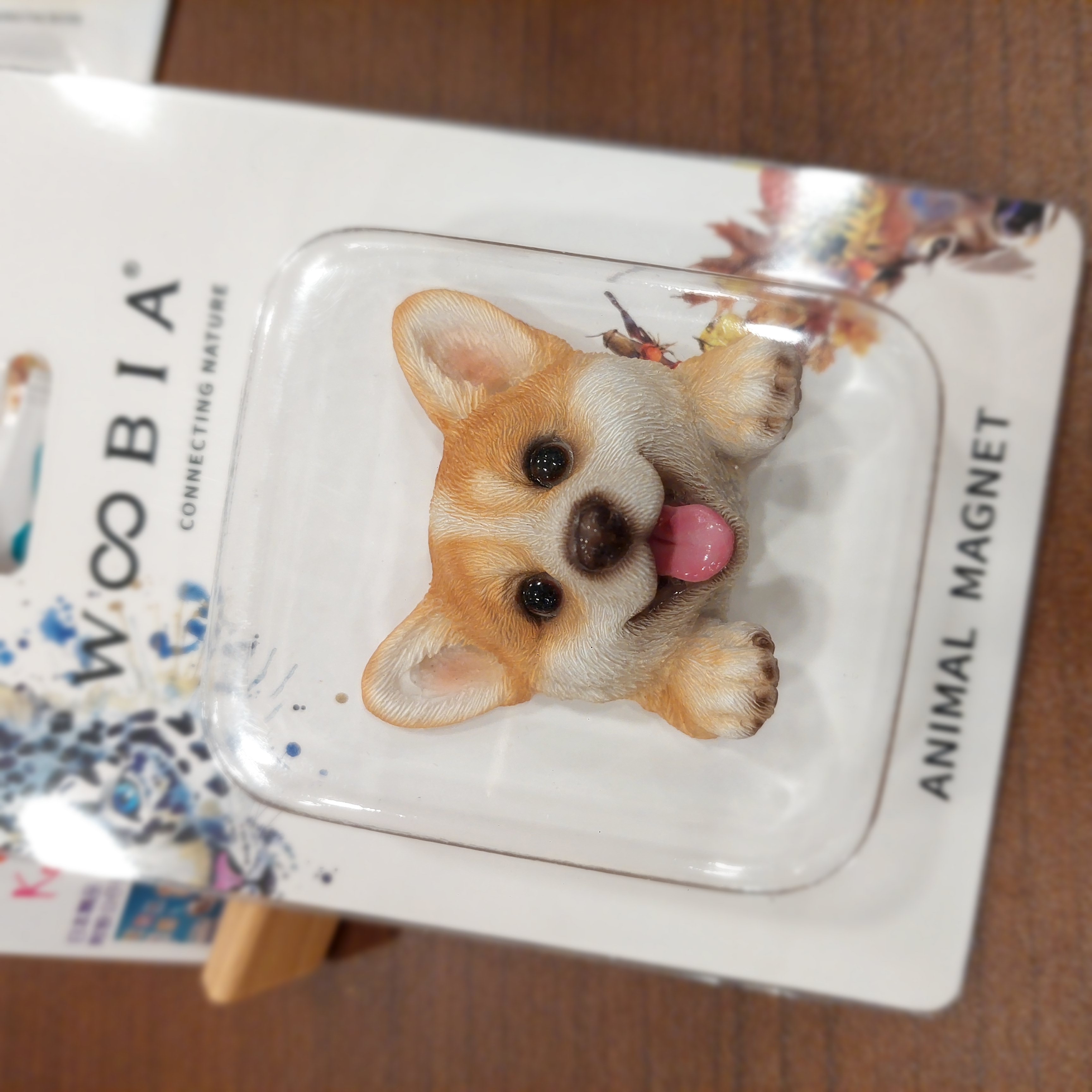 原裝日本 超可愛Animal Magnet 狗狗磁石系列 哥基犬款
