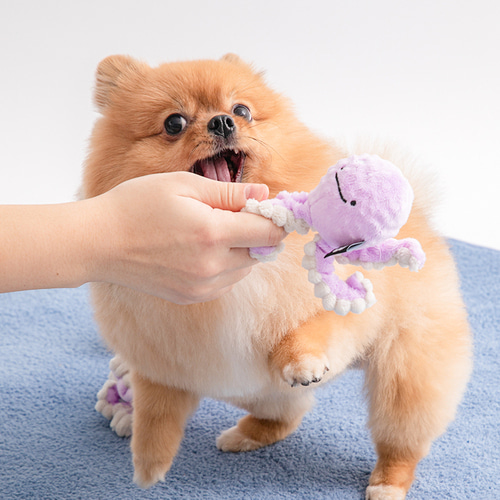 *預購 BiteMe🇰🇷 BITE ME Long Hands Ball Toy (青蛙/八爪魚)