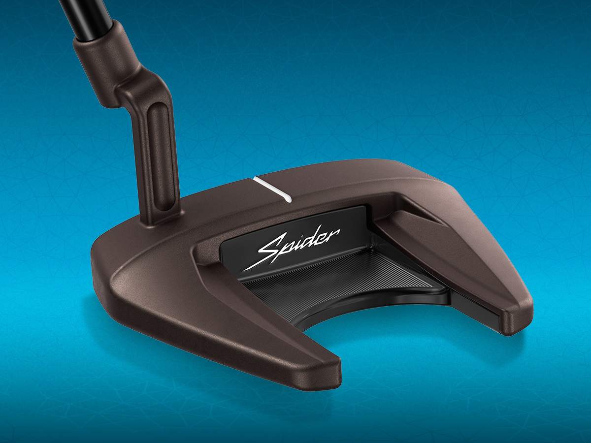 TAYLORMADE SPIDER TOUR F L-NECK 推杆