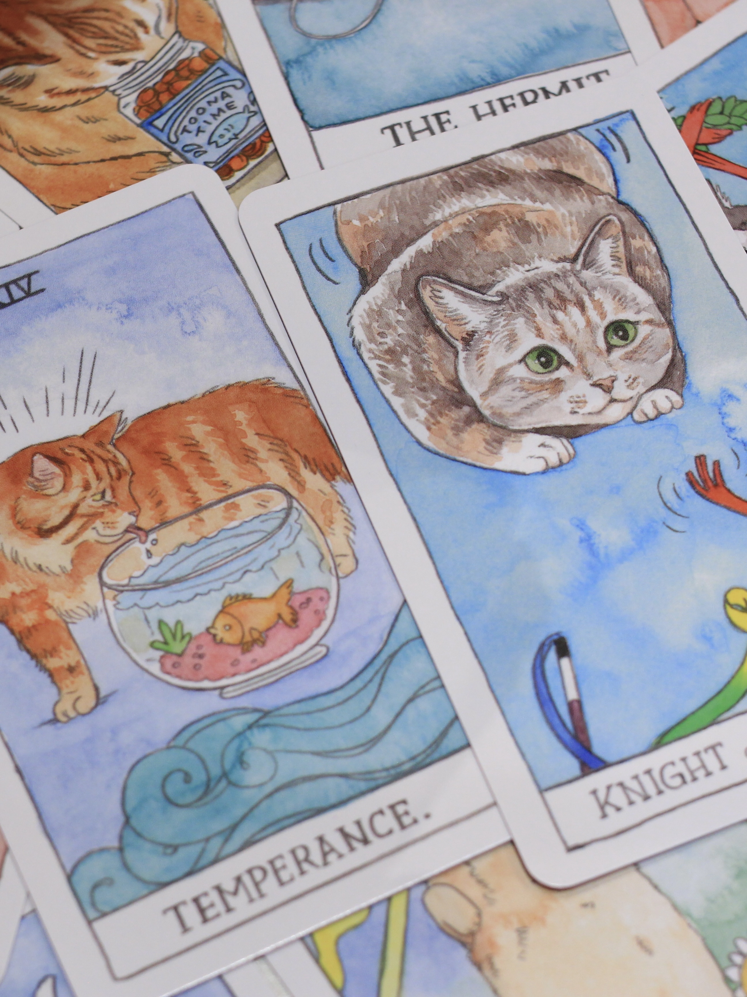 Cat Tarot 貓貓塔羅牌