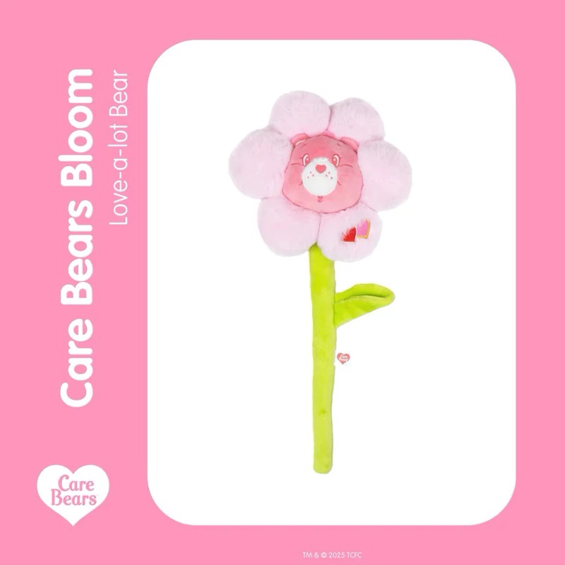 📦訂購 台灣代購 彩虹熊 Care Bears Love-a-lot Bear 絨毛花束 