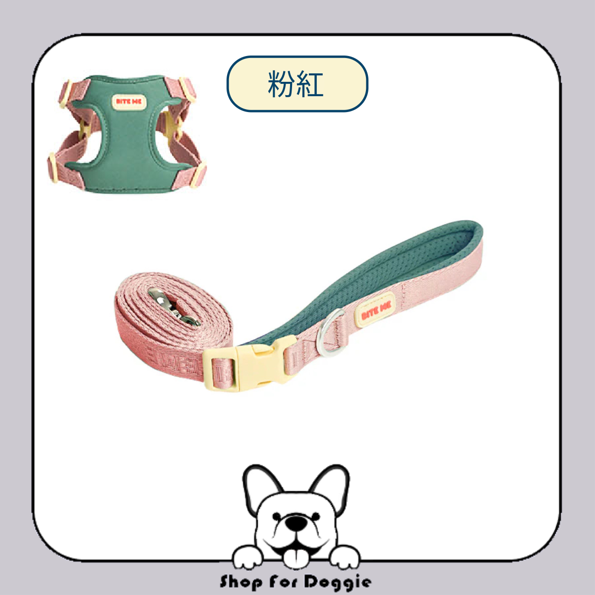 [訂貨3-4星期] 韓國 Bite Me Comfort Leash v2 牽繩