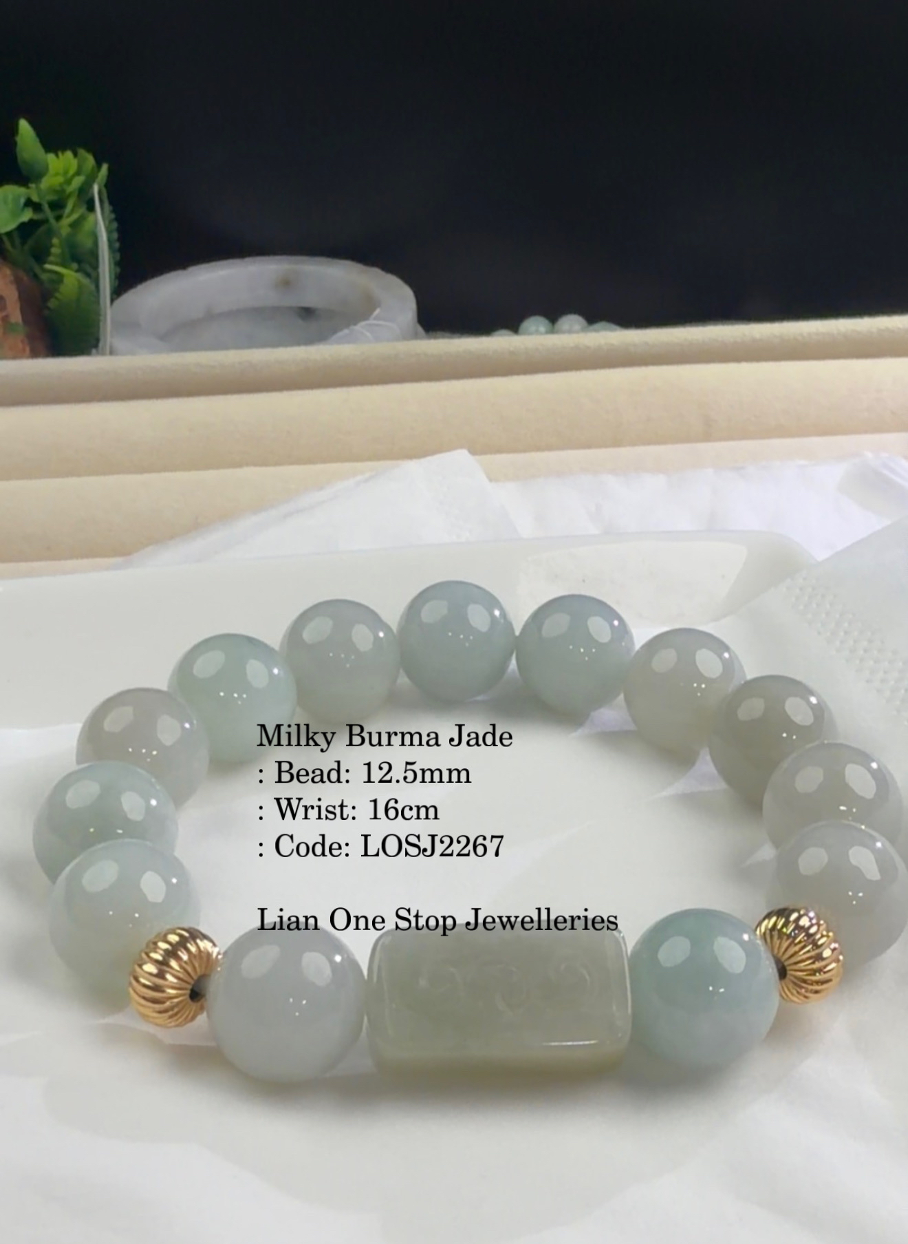 Code: LOSJ2267 Milky Burma Jade 12+mm