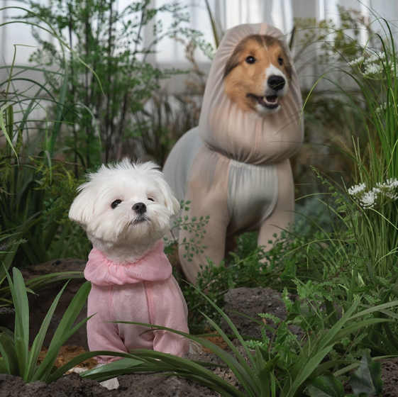 *Super Pet🇰🇷狗狗防蟲防護連身衣 (Bug Guard Suit)🐾（DG412）