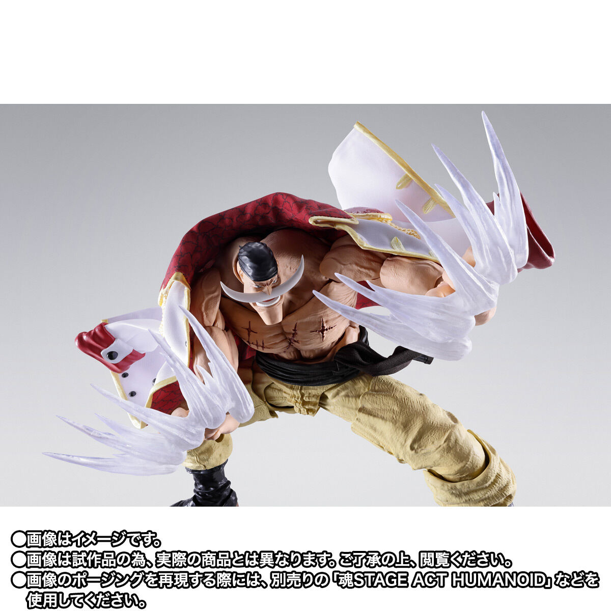 (預訂訂金 $500) (總價 $1560) (魂限) Bandai S.H.Figuarts 海賊王 白鬍子 愛德華·紐歌特 -馬林福特頂上決戰- SHF One Piece Edward Newgate