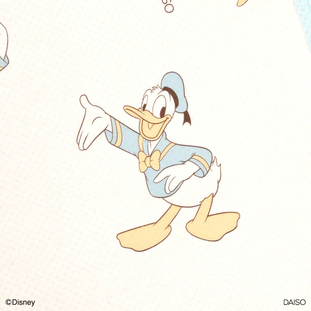 [現貨] [日本直送] DONALD ｜ 收納箱  | 19cm×27cm×23.5cm {TF2506042}