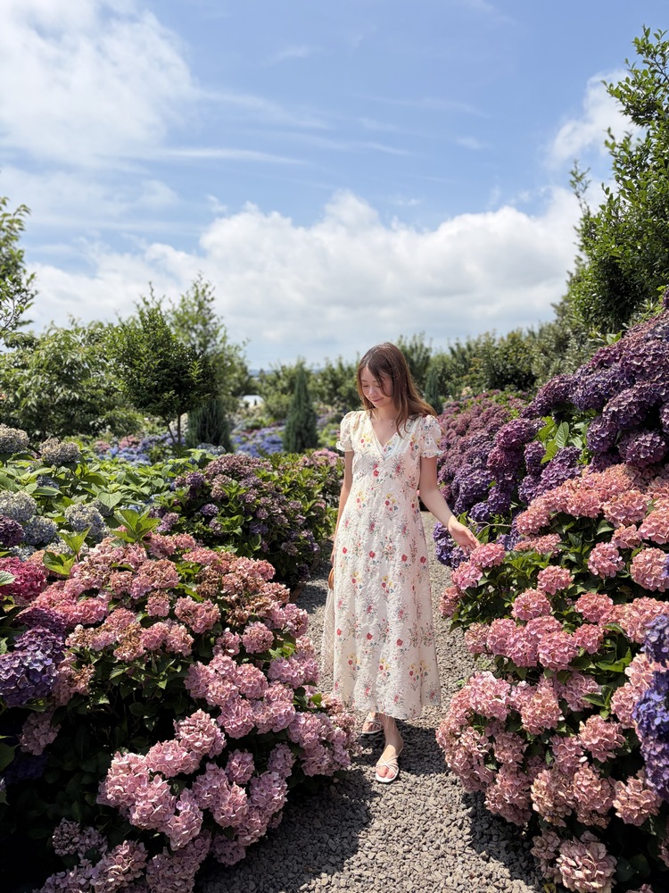Premium Embroidered Floral Dress