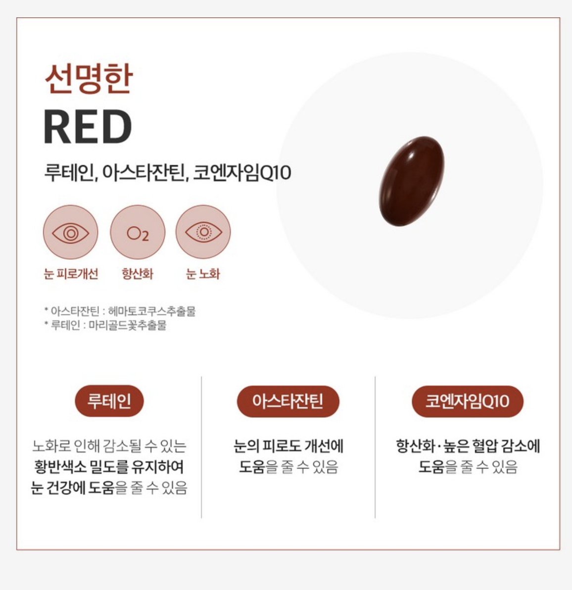 韓國 RE4DAY 男士 多效 綜合維他命 營養丸30包 / 盒｜ALL-IN-ONE MEN’S PACK