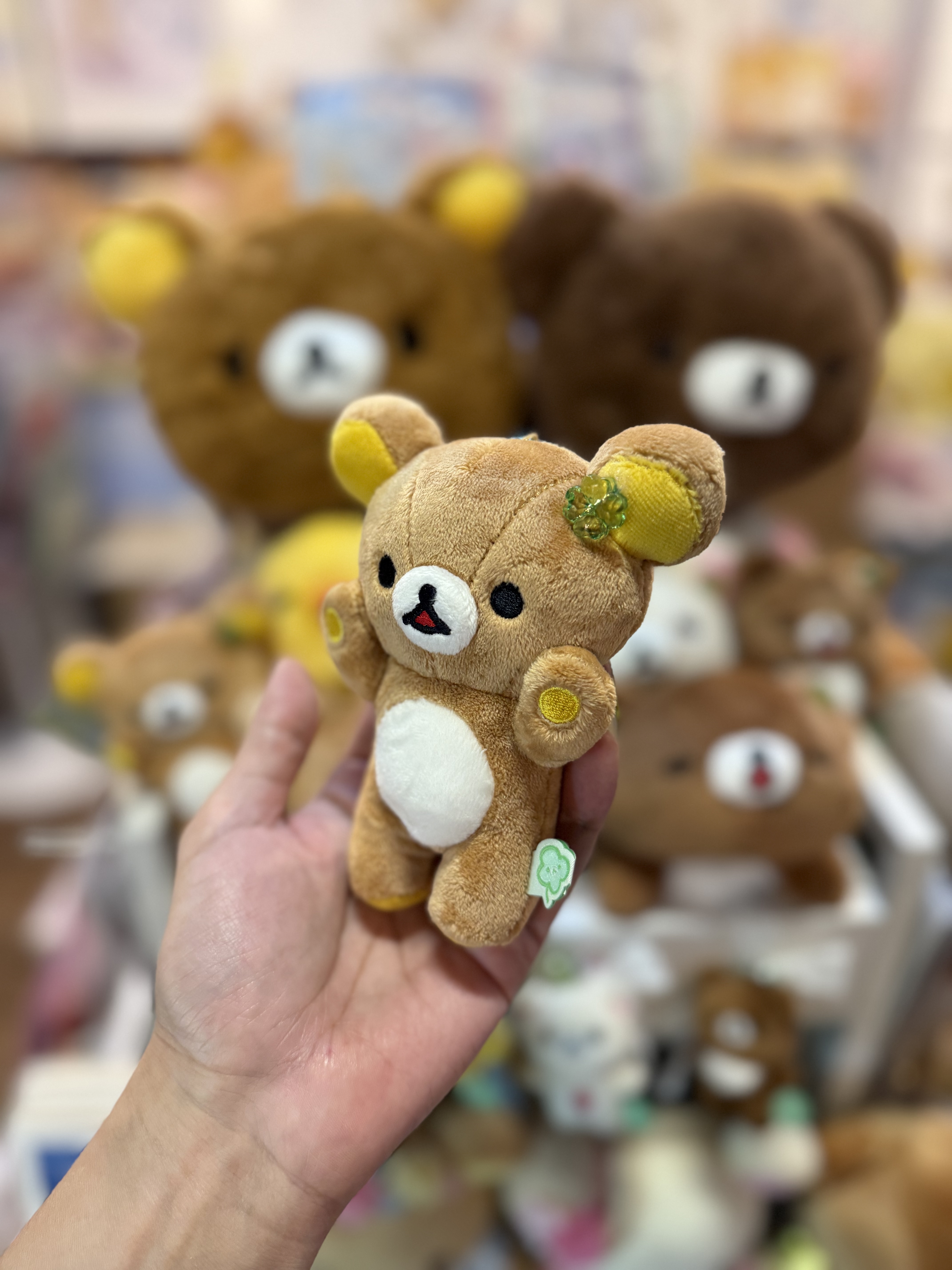 《現貨》全新小熊10週年紀念四葉草系列舉手掛飾