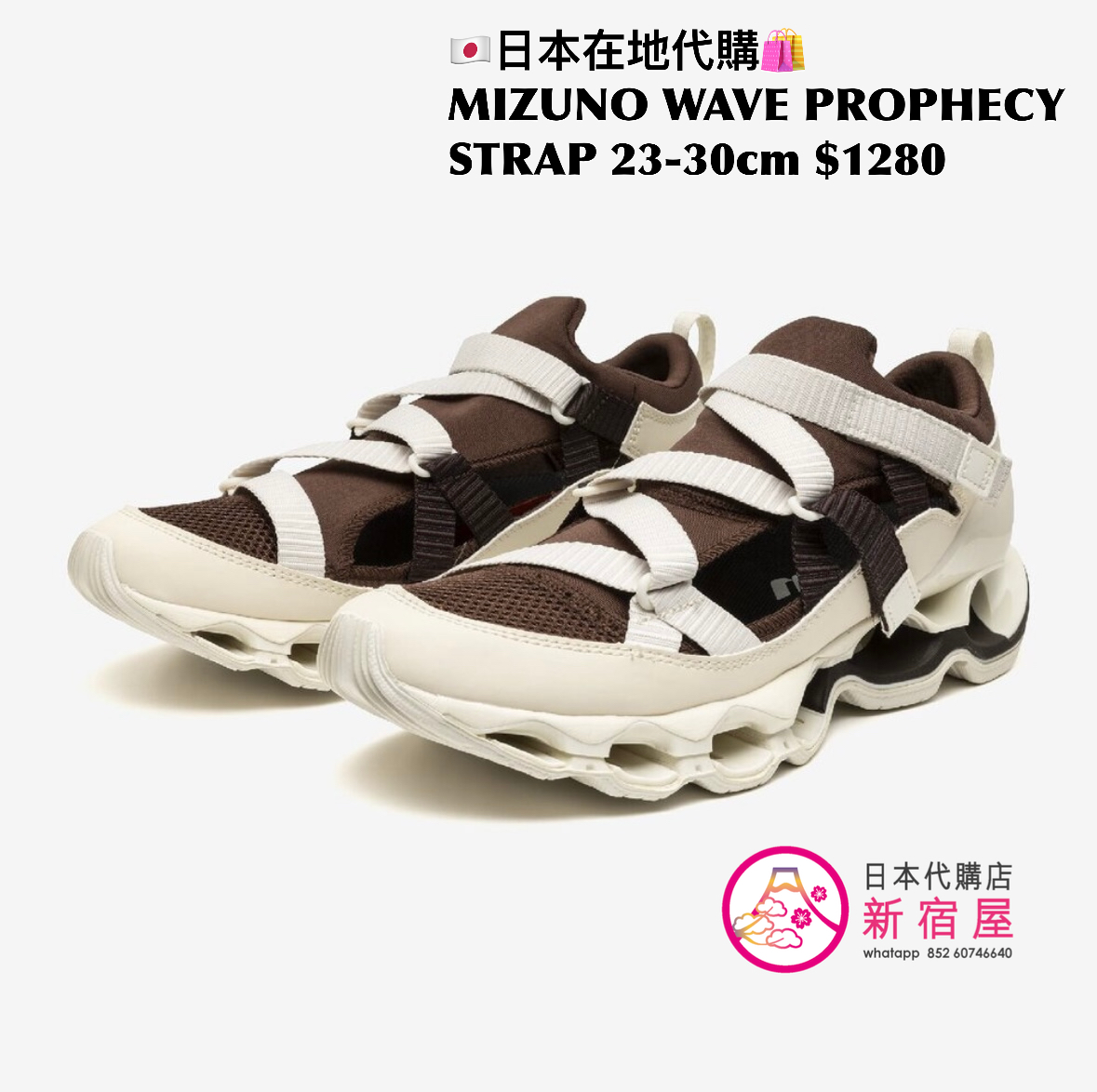 MIZUNO WAVE PROPHECY STRAP 日本限定