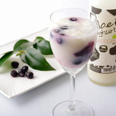 梅ヶ枝酒造 蘆薈果肉乳酪酒- 長崎 8% 500mL (無盒) (1x6x500ml)