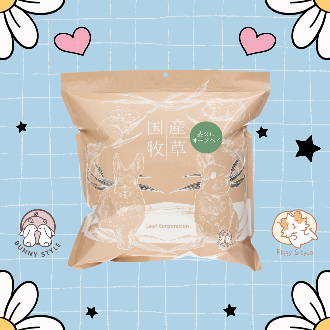 日本Leaf Corp 國產燕麥葉100g