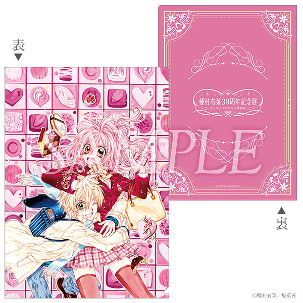 《Pre-Order》A4 Clear File｜種村有菜 30周年記念展商品 (26032-P)