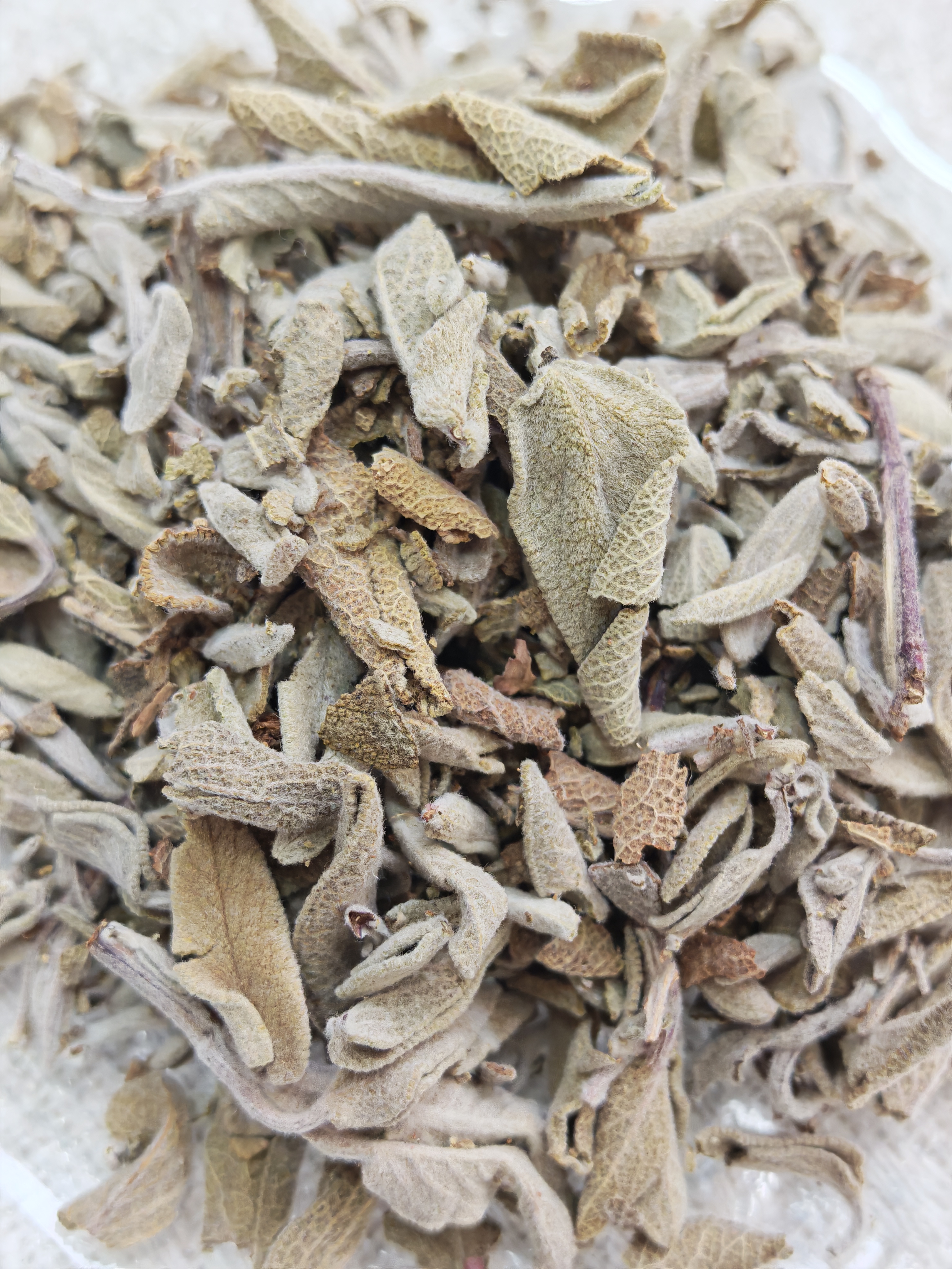 鼠尾草 Sage (散裝)