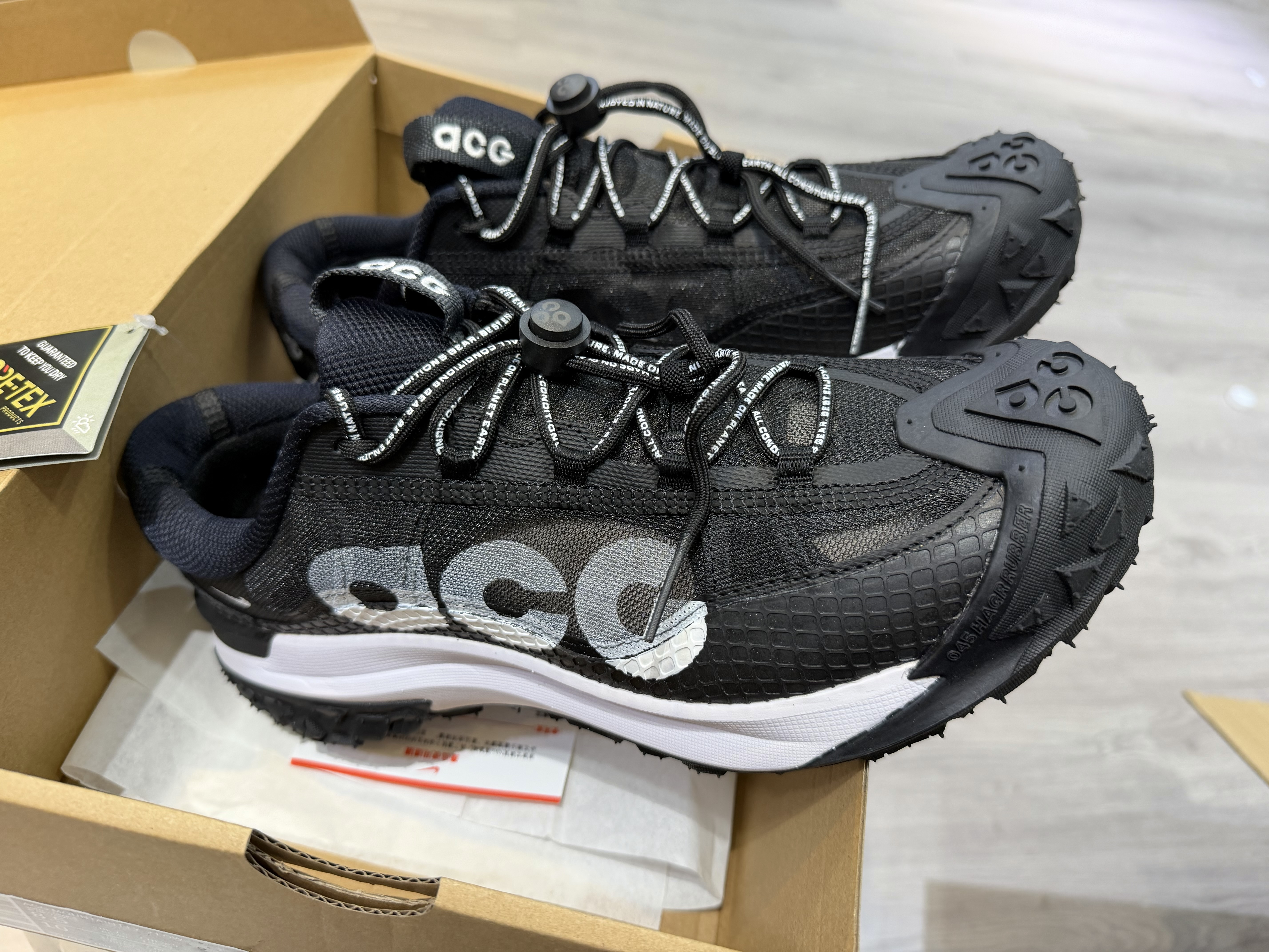Nike ACG Mountain Fly 2 Low