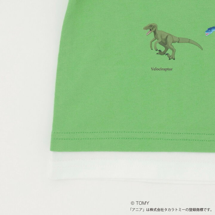🇯🇵預訂 日本直送🇯🇵Petit Main x Tomica系列三色恐龍動物車車印花假兩件長袖T恤