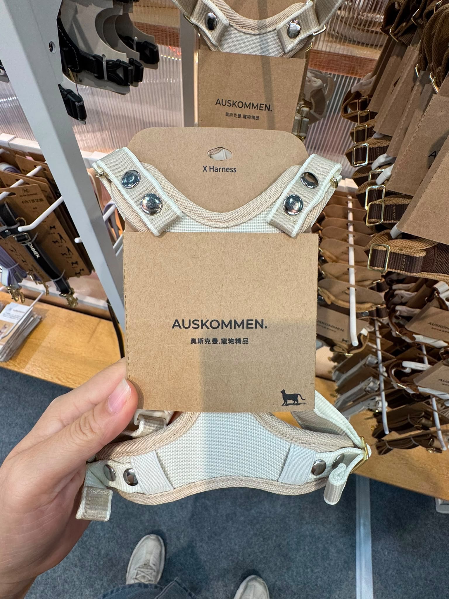 Auskommen X型胸帶