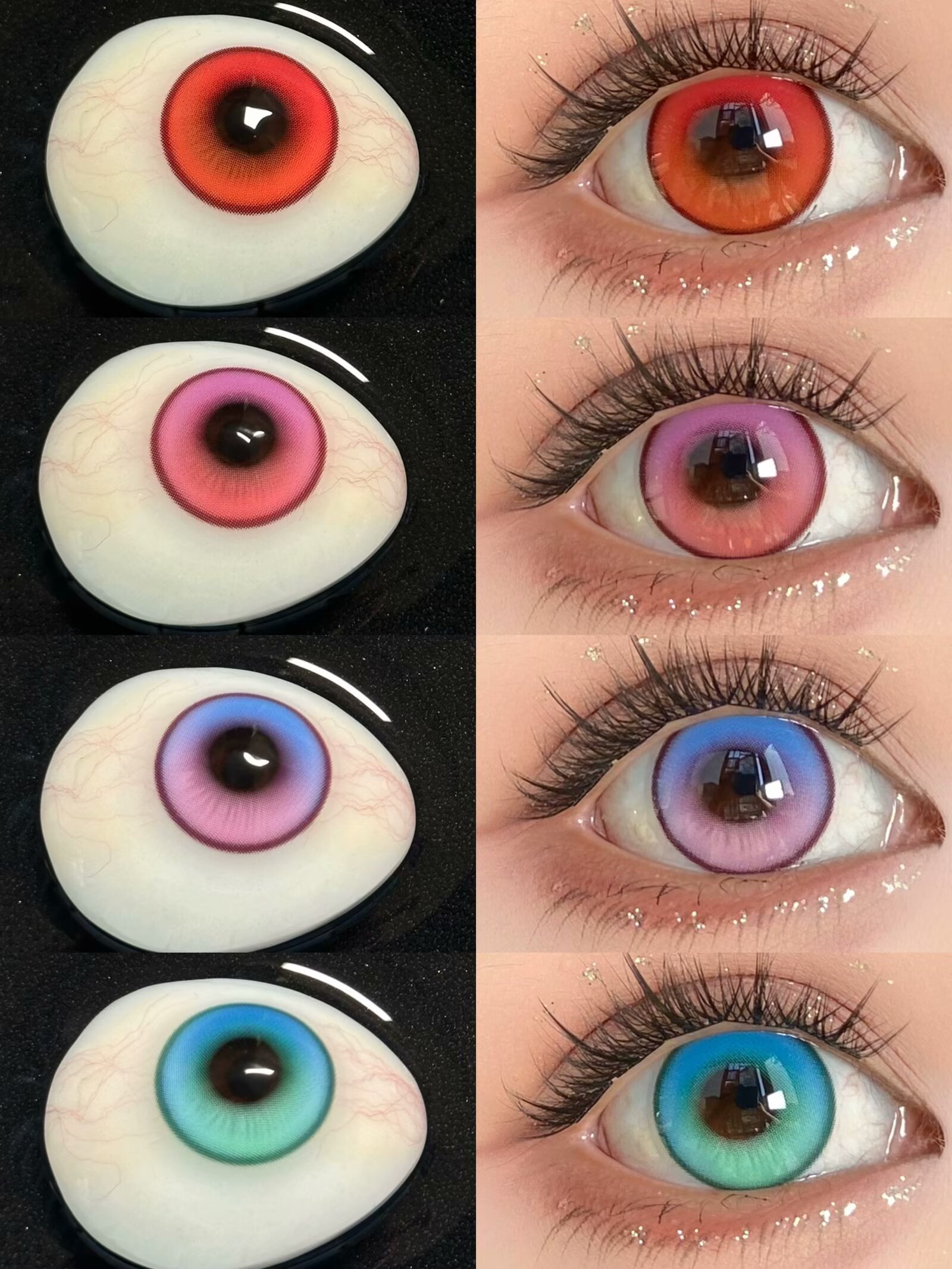 Apricotcon 日拋2片 雙色漸變系列