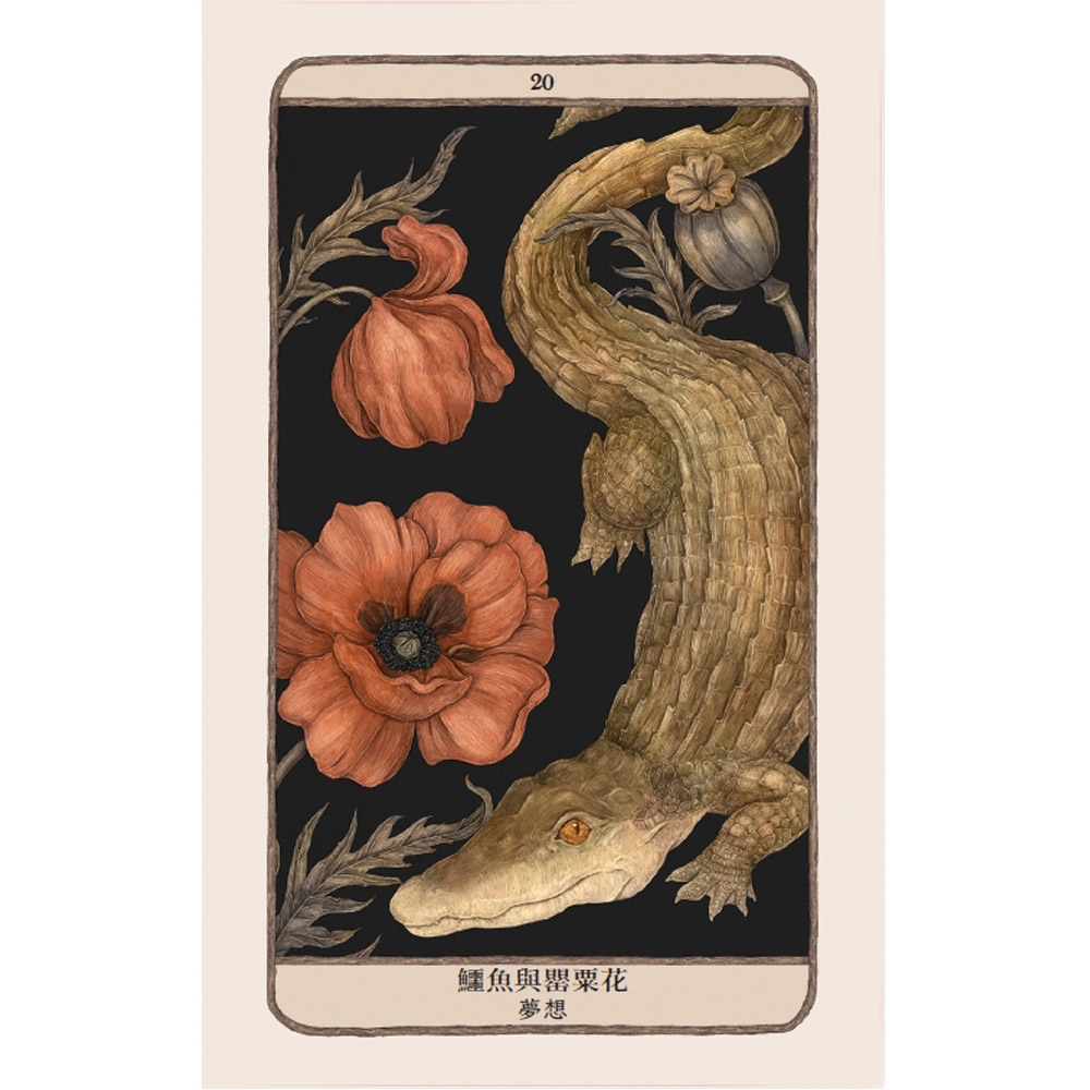 森林守護者神諭卡