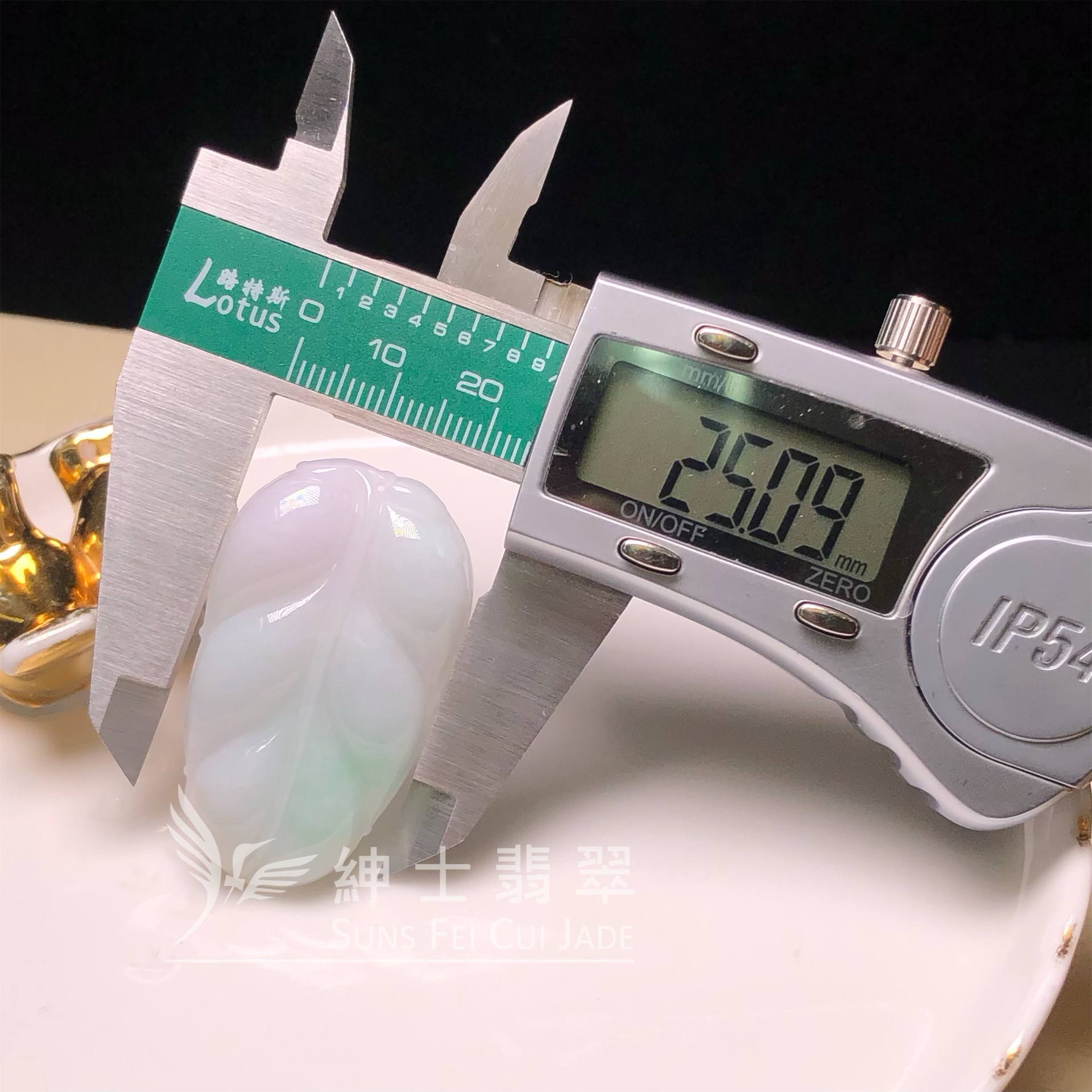 B07224 春彩福葉