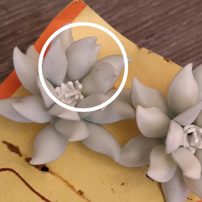 Mid-Century New Old Stock Plastic Flower stud Earrings (AC219)