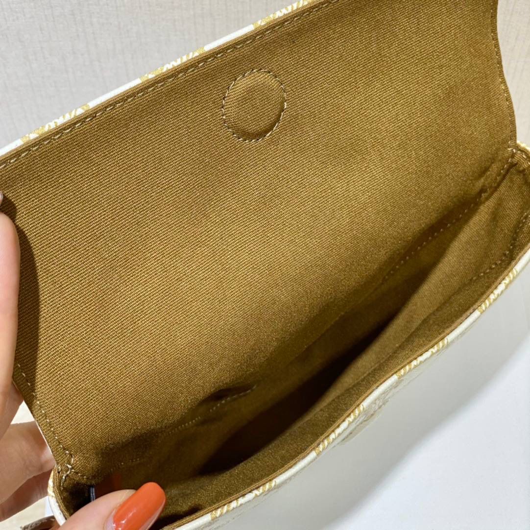 🔥大货实拍图 𝗖𝗘𝗟𝗜𝗡𝗘 ♥ 𝗧𝗥𝗜𝗢𝗠𝗣𝗛𝗘 𝗖𝗔𝗡𝗩𝗔𝗦三角形手袋 𝑪𝒆𝒍𝒊𝒏𝒆2021春夏竟出其不意的玩起了异形包，三角形造型很是别致，彰显不羁姿态，男女同款，吸晴选手✔ 型号：195902 尺寸：21*15*4cm