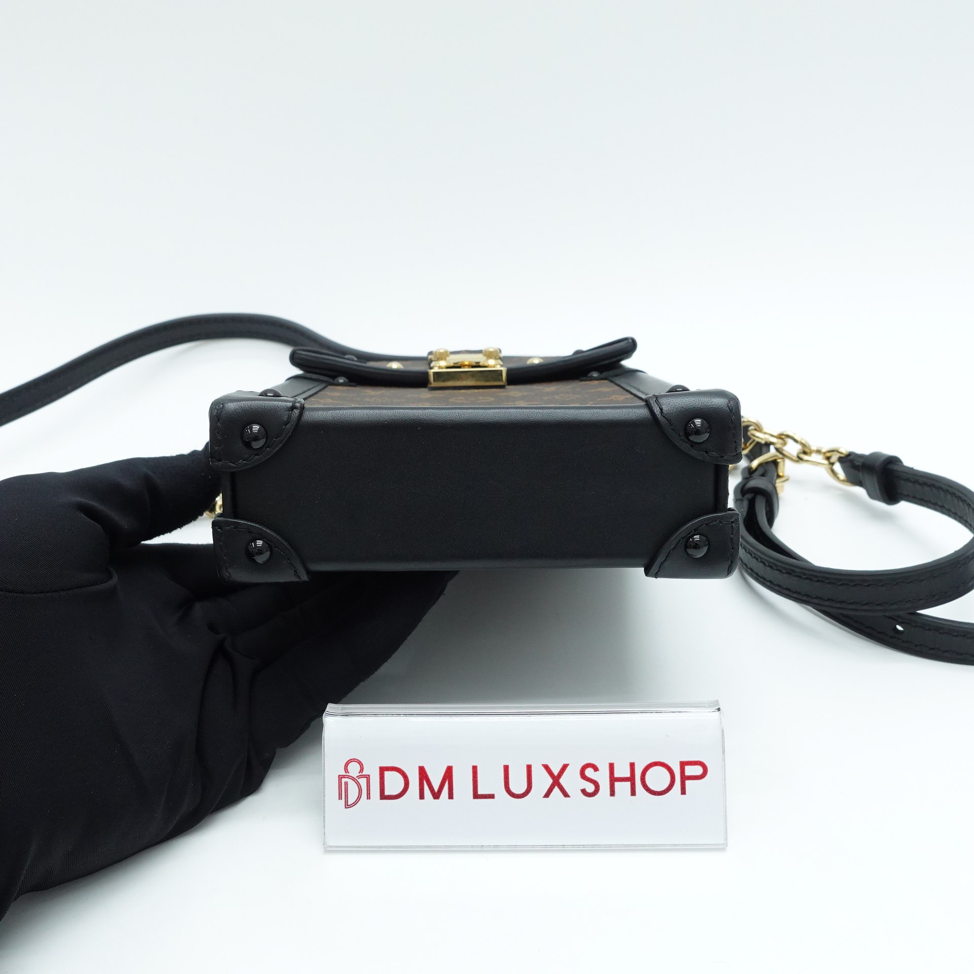 LV Monogram Pochette Trunk