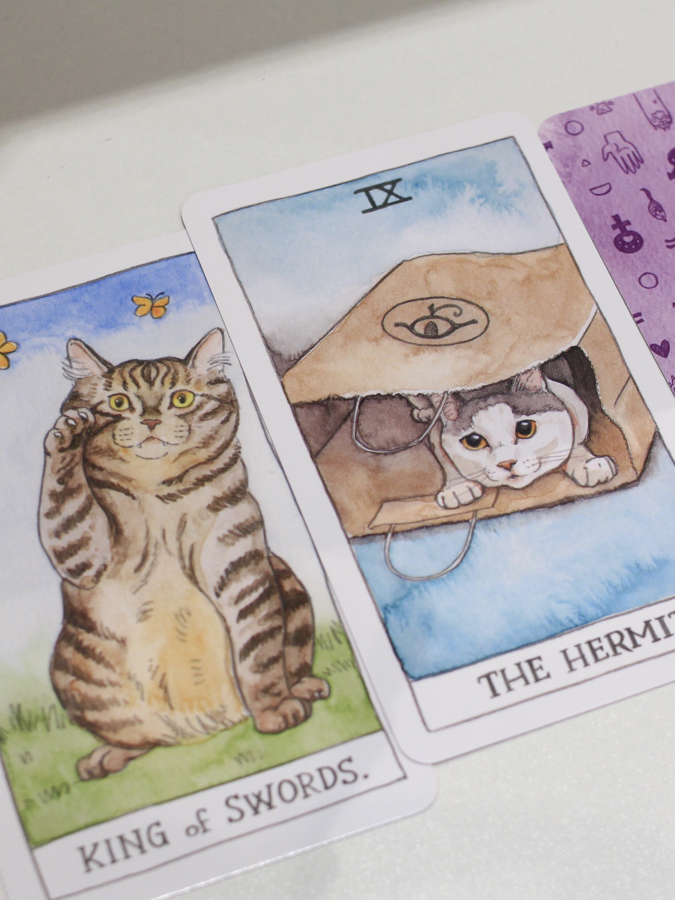 Cat Tarot 貓貓塔羅牌