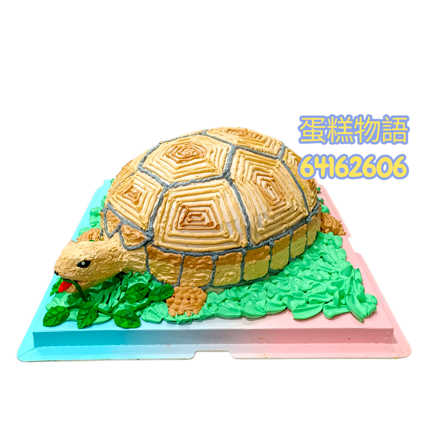 N66. 烏龜蛋糕