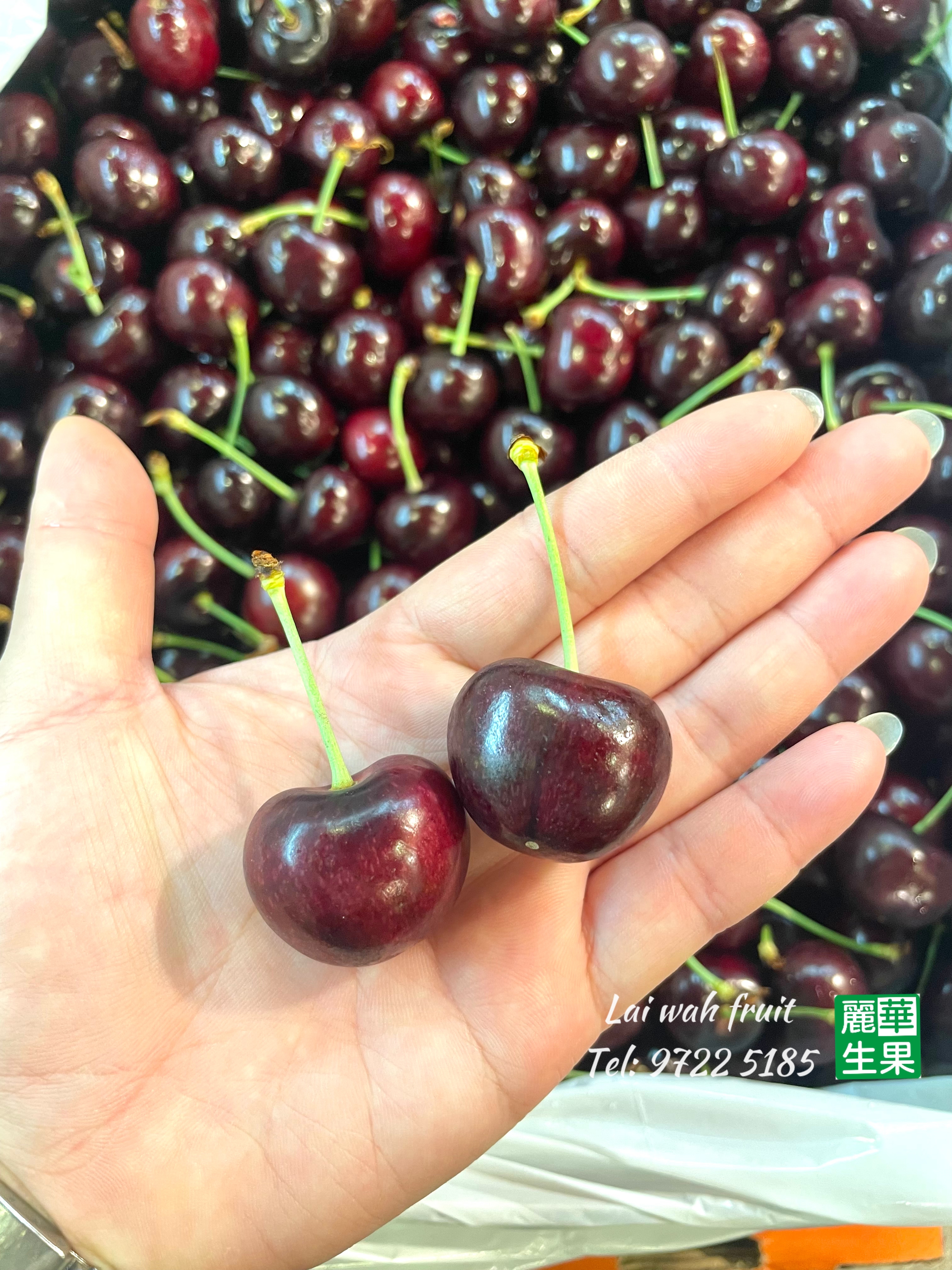 【🇺🇸美國車厘子9R🍒】