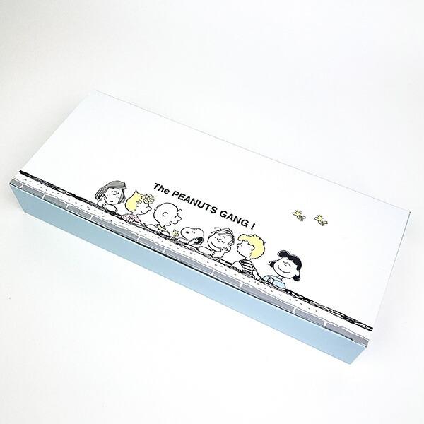 【現貨】🔥🔥【日本製《SNOOPY》Break Time 密封食物盒 5 件套裝】