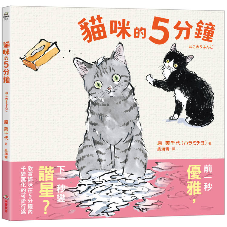 貓咪的5分鐘