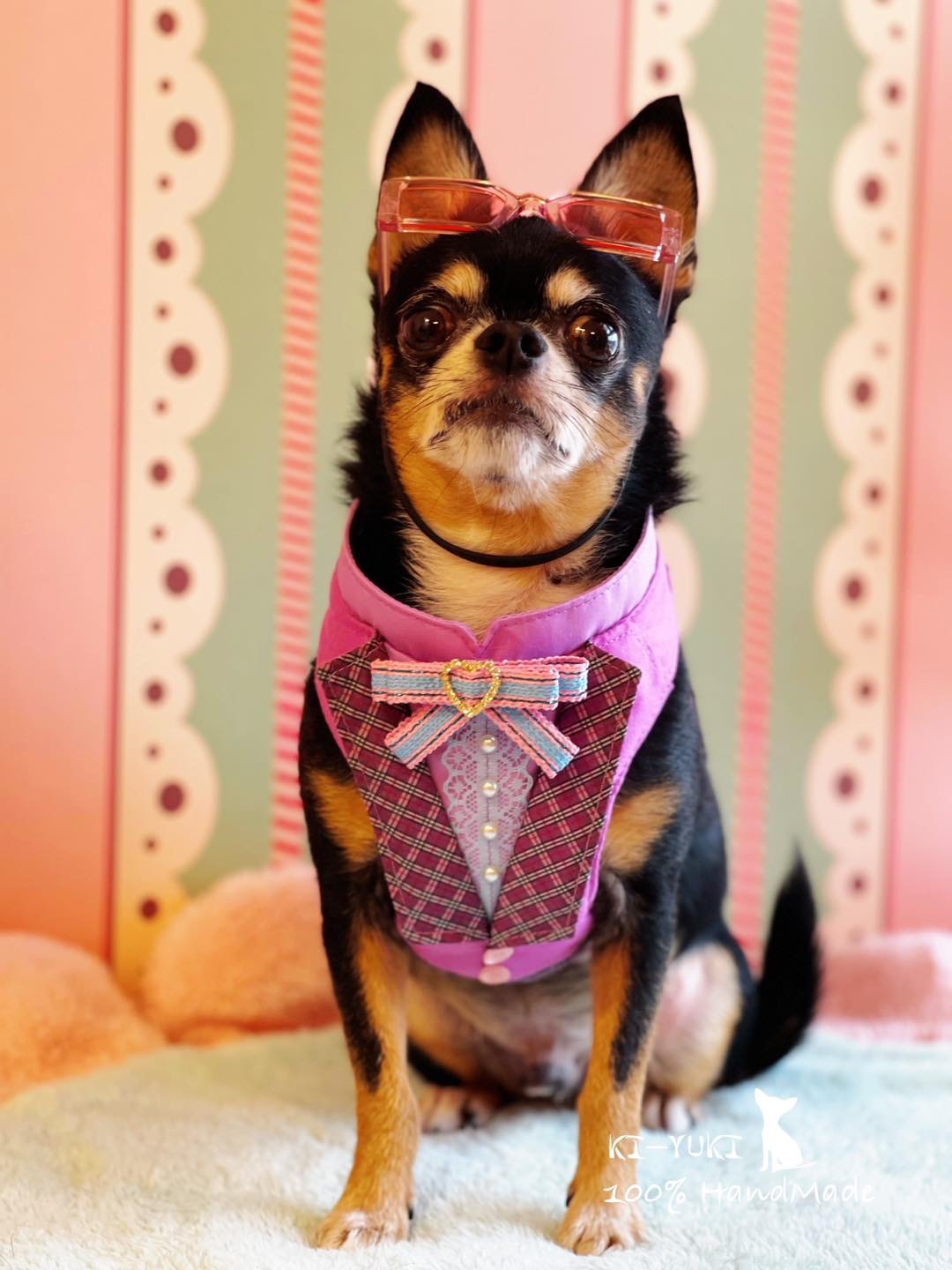 原創設計 寵物造型胸背帶 特價