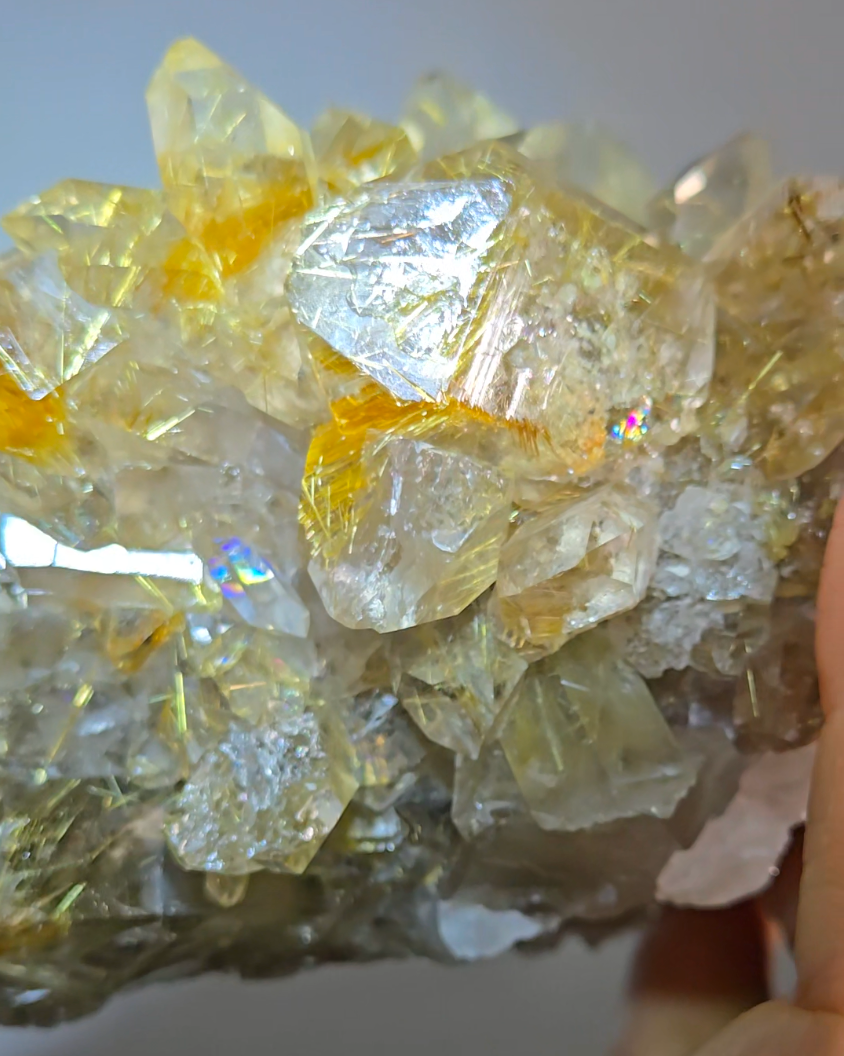 High-grade golden starburst rutiles on black hematite in quartz - RT1434